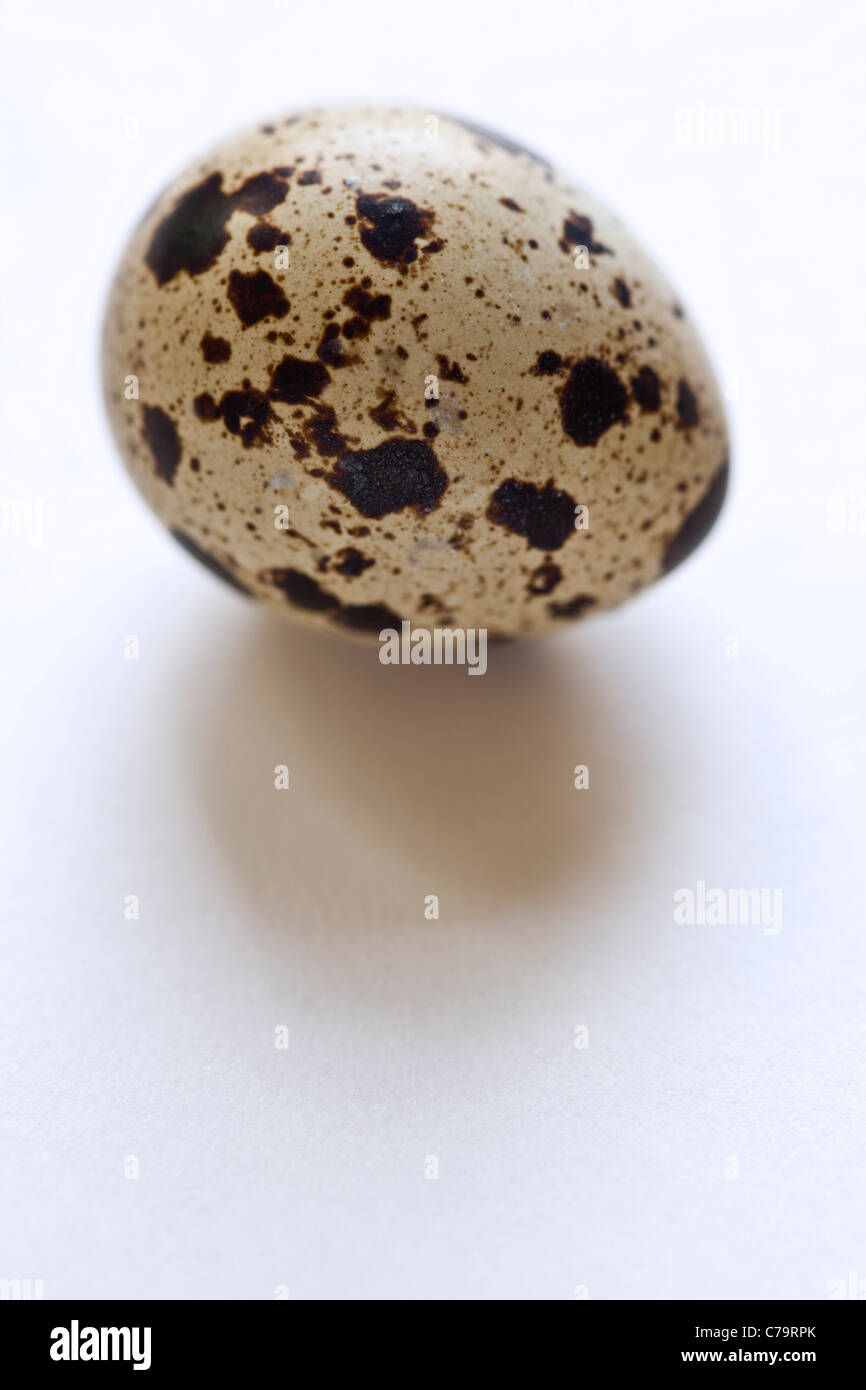 A quail's eggs against a white background Stock Photo