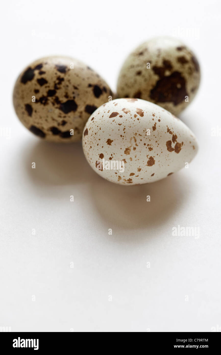 Three quail's eggs against a white background Stock Photo