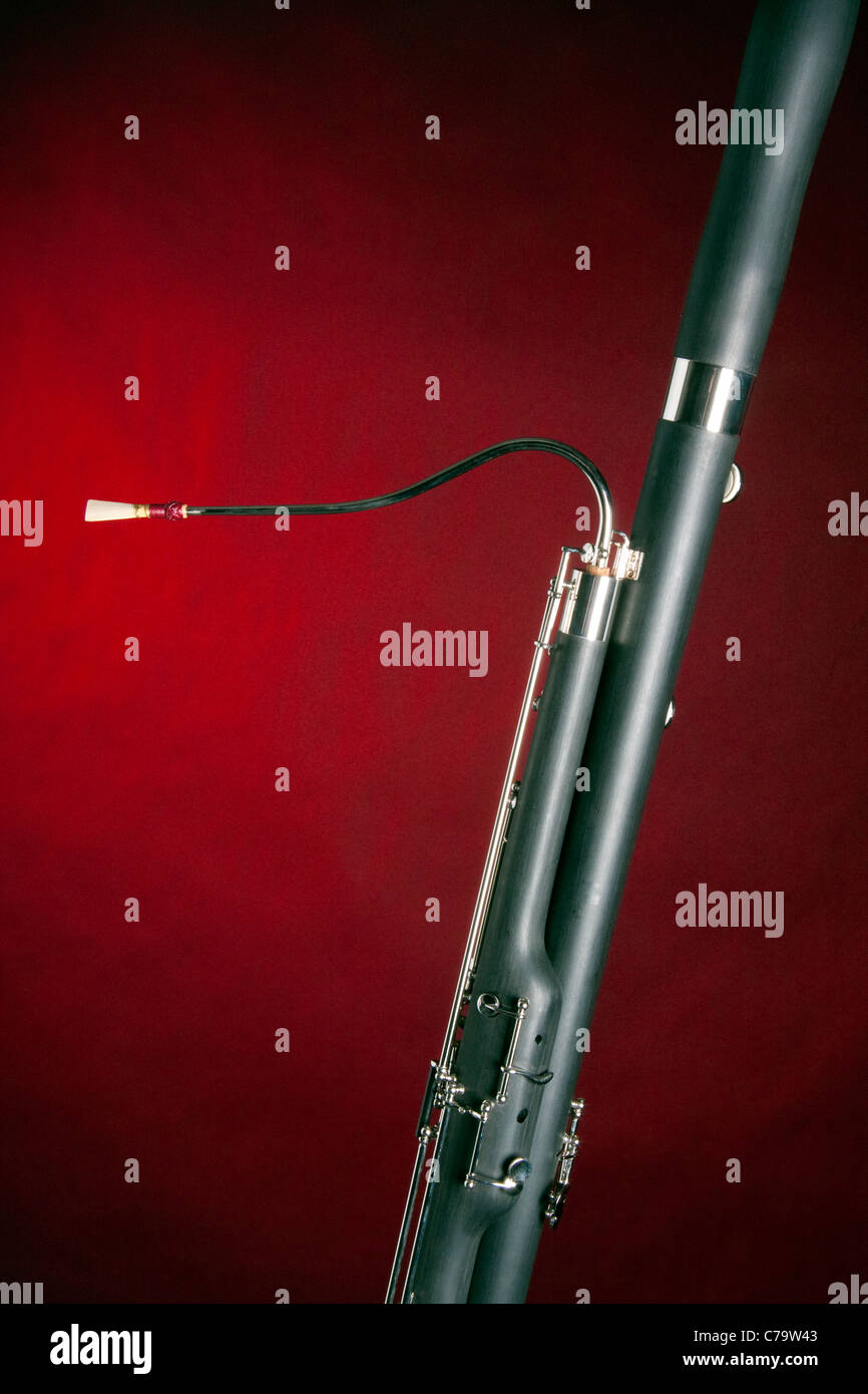 A Bassoon music instrument isolated against a red spotlight with copy