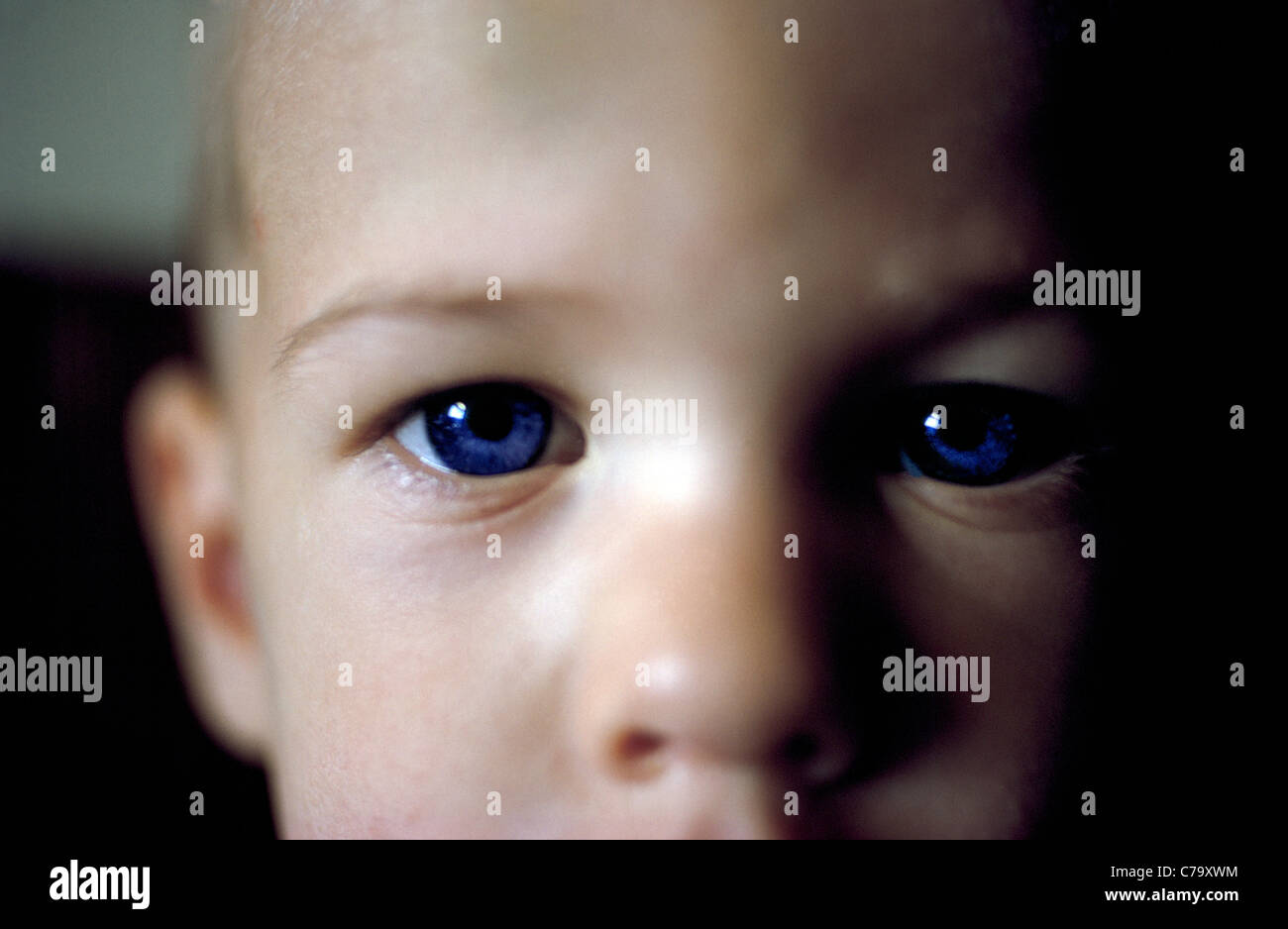 A very young boy with big blue eyes stares at the camera for this extreme close-up portrait that shows his concentration. Stock Photo