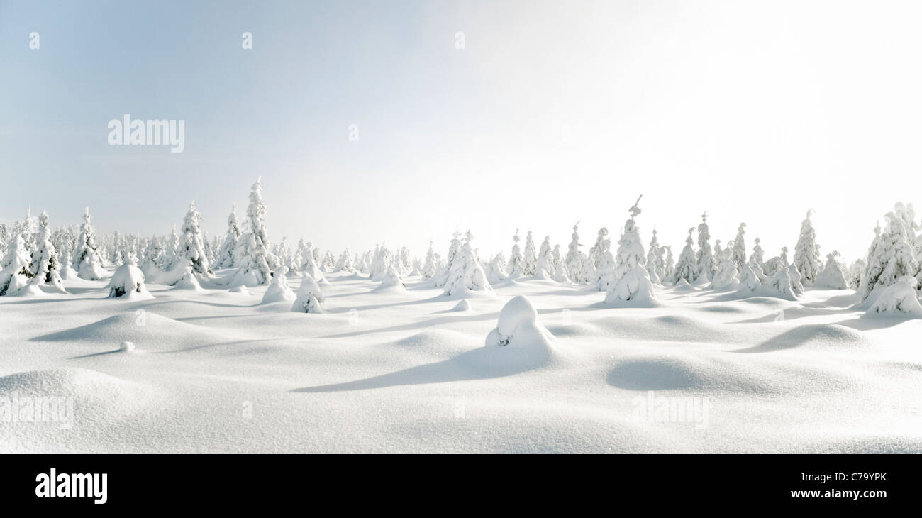Snowy winter landscape on the Acker, the longest mountain range in the Upper Harz, Harz National Park, Germany Stock Photo