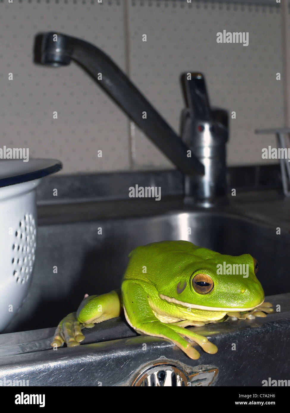 Kitchen sink hires stock photography and images Alamy