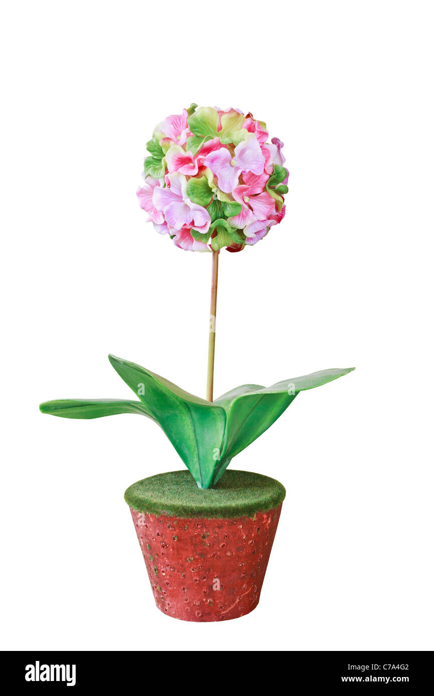 Plastic flower pot isolated on white background Stock Photo - Alamy