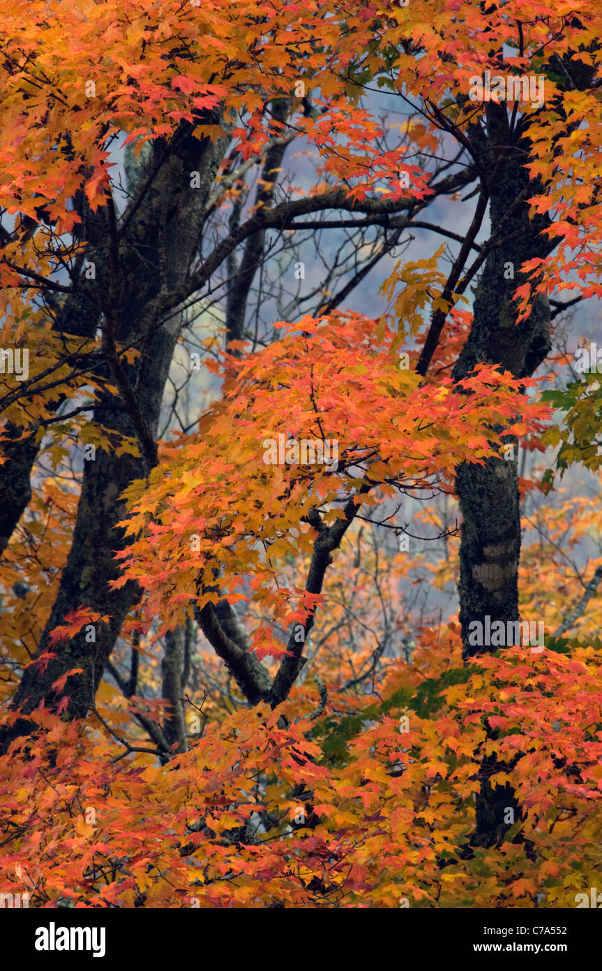 Unicoi Mountains Stock Photos Unicoi Mountains Stock Images Alamy