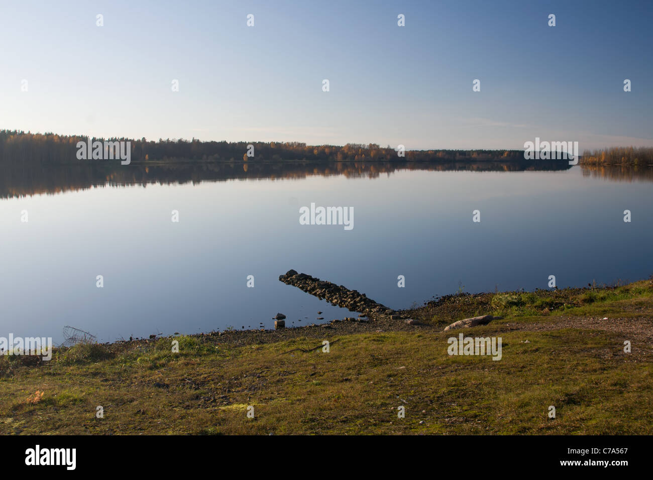 autumn lake forest Stock Photo - Alamy