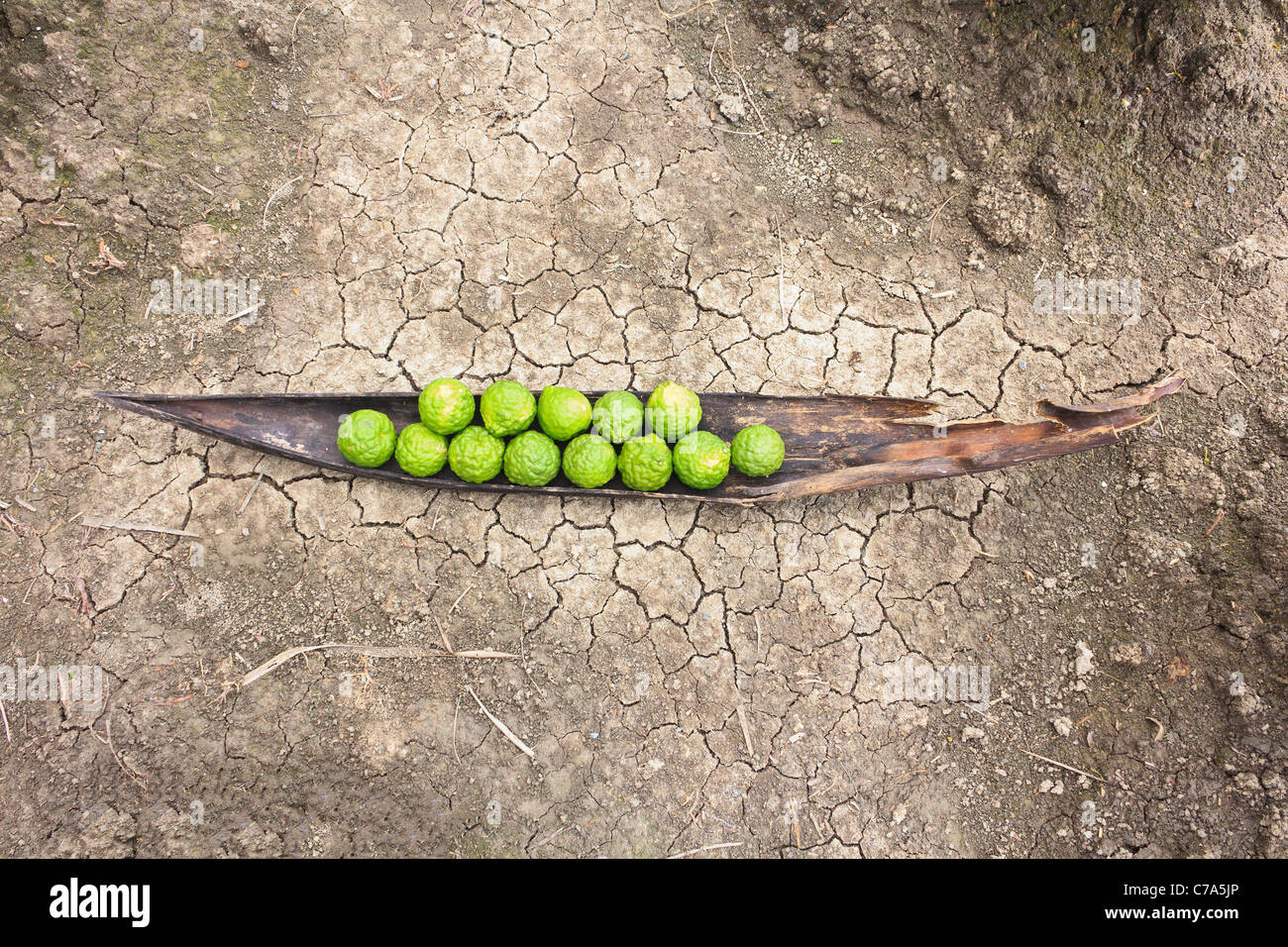 Kaffir limes hi-res stock photography and images - Alamy