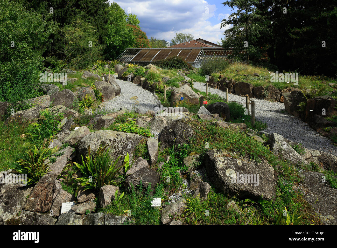 Botanischer Garten der RuprechtKarlsUniversitaet in Heidelberg, Baden
