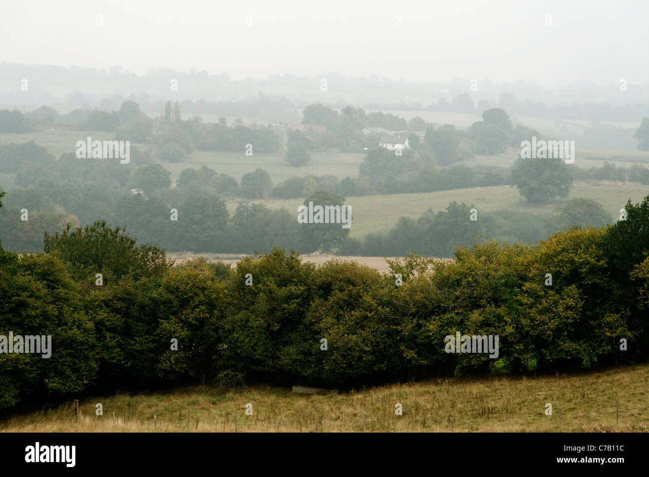 Summer landscape with mist, fields separated by hedgerows, near Carrouges (Orne, Normandy, France, Europe). Stock Photo