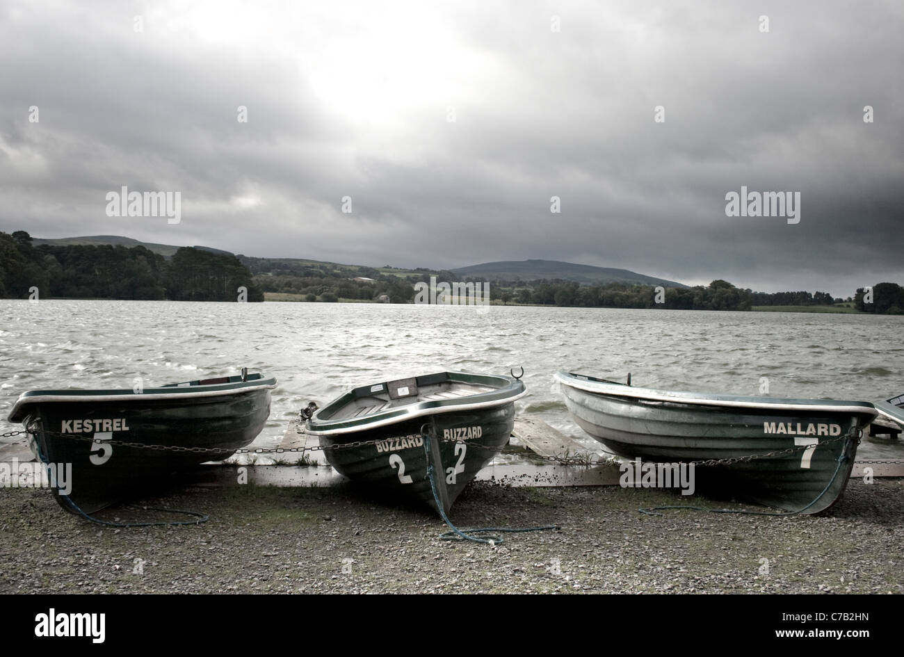 Rowing Boats At Talkin Tarn Talkin Tarn Stock Photos Talkin Tarn Stock Images Alamy