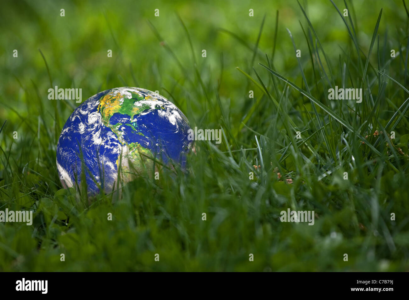 Conceptual image of the earth laying in the tall green grass. Shallow depth of field. Earth image courtesy of NASA. Stock Photo