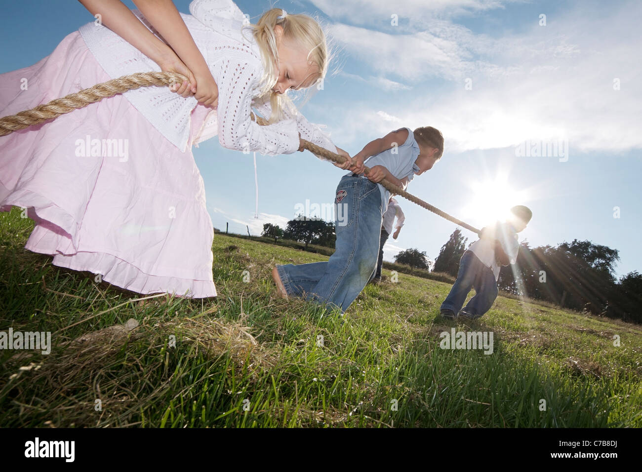Children playing tug-of-war on a meadow in summer, Eyendorf, Lower Saxony, Germany, Europe Stock Photo