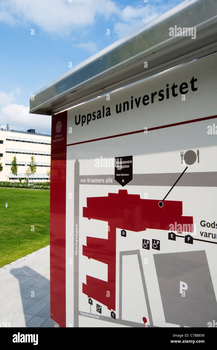 uppsala universitet university universities education degree degrees