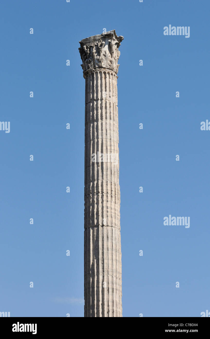 Rome. Italy. Column of Phocas, Roman Forum (Foro Romano). Erected AD 608. Stock Photo