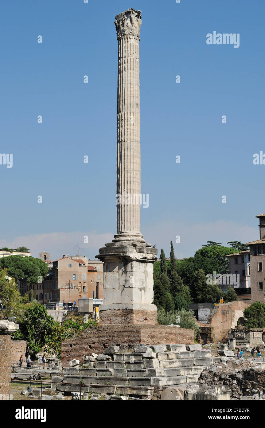 Rome. Italy. Column of Phocas, Roman Forum (Foro Romano). Erected AD 608. Stock Photo