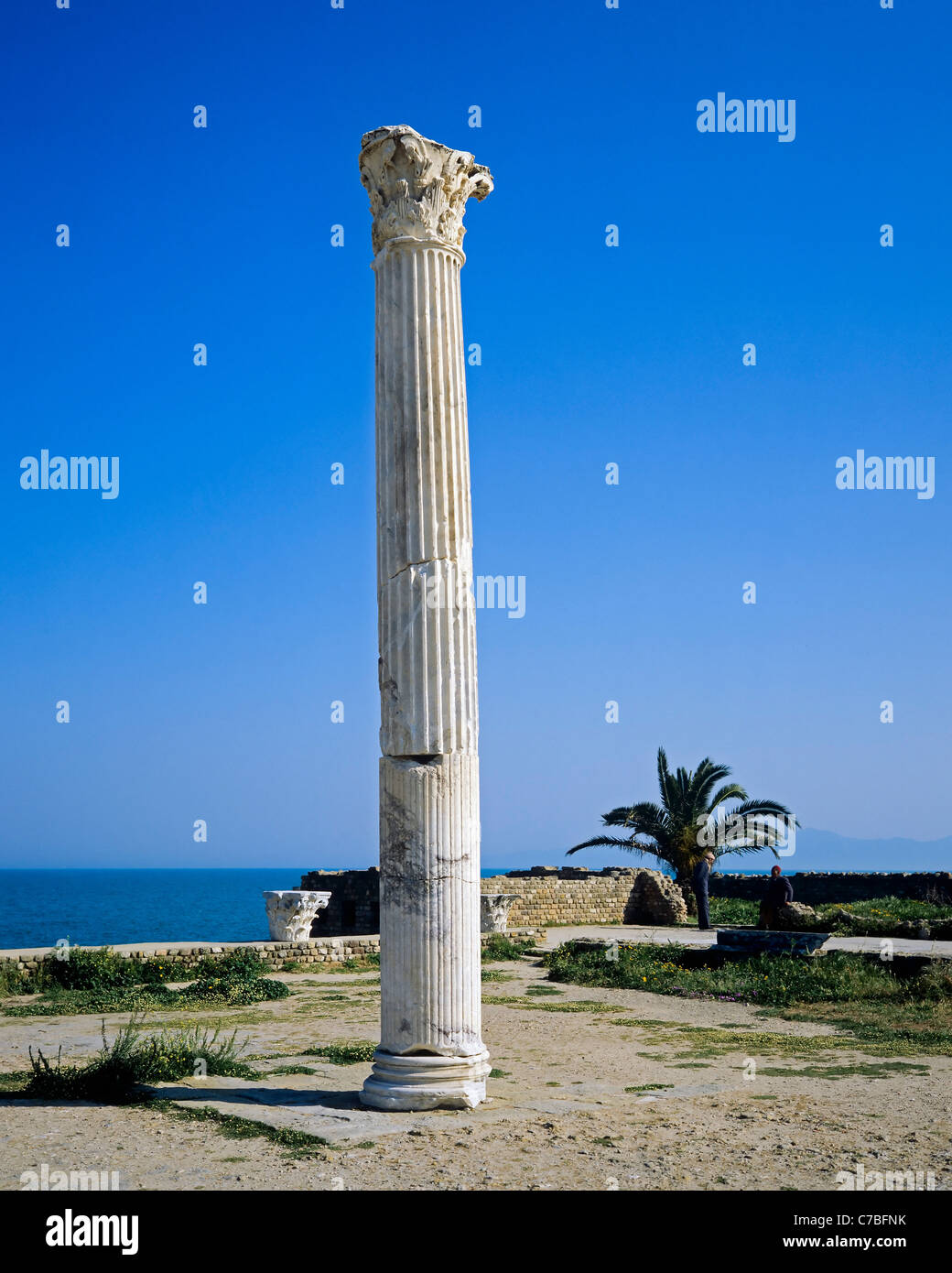 Archaeological site of Carthage, Tunisia, remains of Antonine Roman thermal baths, column with Corinthian capital, Mediterranean seashore, Stock Photo