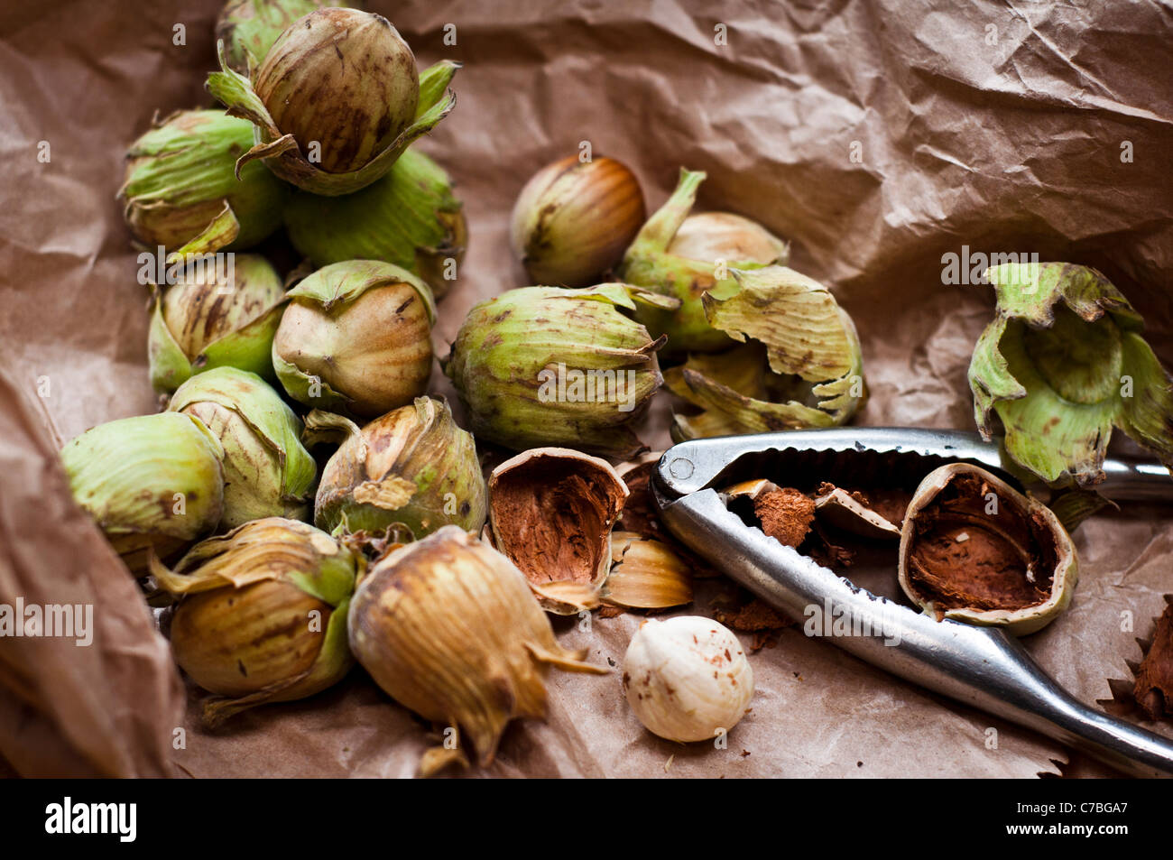Fresh whole Kentish cobnuts with nutcrackers on brown paper bag Stock Photo