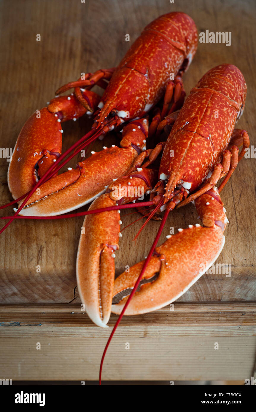 Two whole ready boiled lobsters on wooden kitchen chopping board Stock Photo