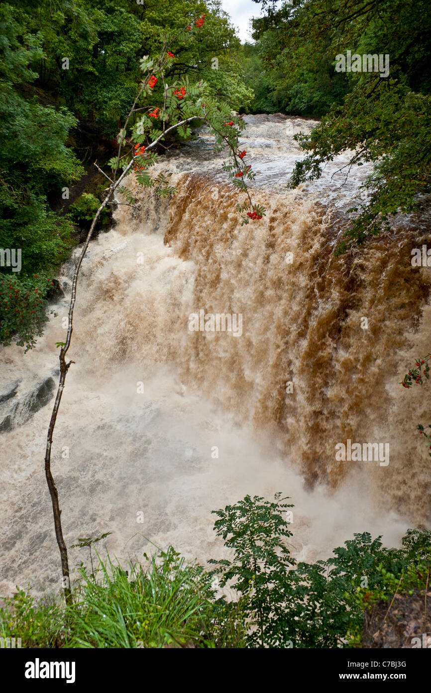 fast flowing river over a waterfall.upright format Stock Photo