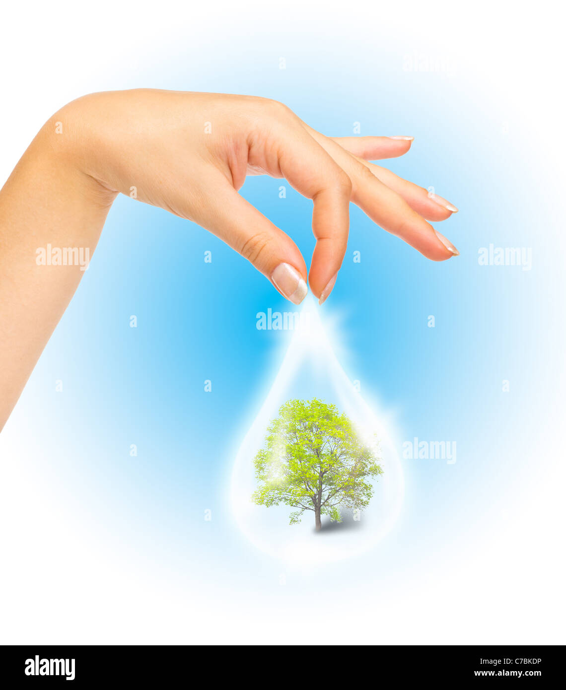 Drop of water with Tree inside and human hand. The symbol of Save Green Planet Stock Photo