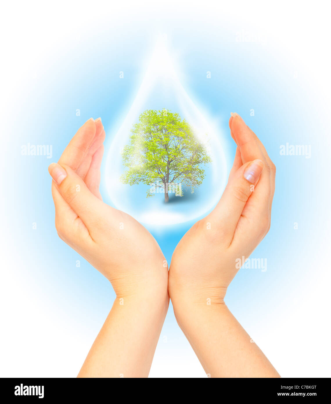 Drop of water with Tree inside and human hands. The symbol of Save Green Planet Stock Photo