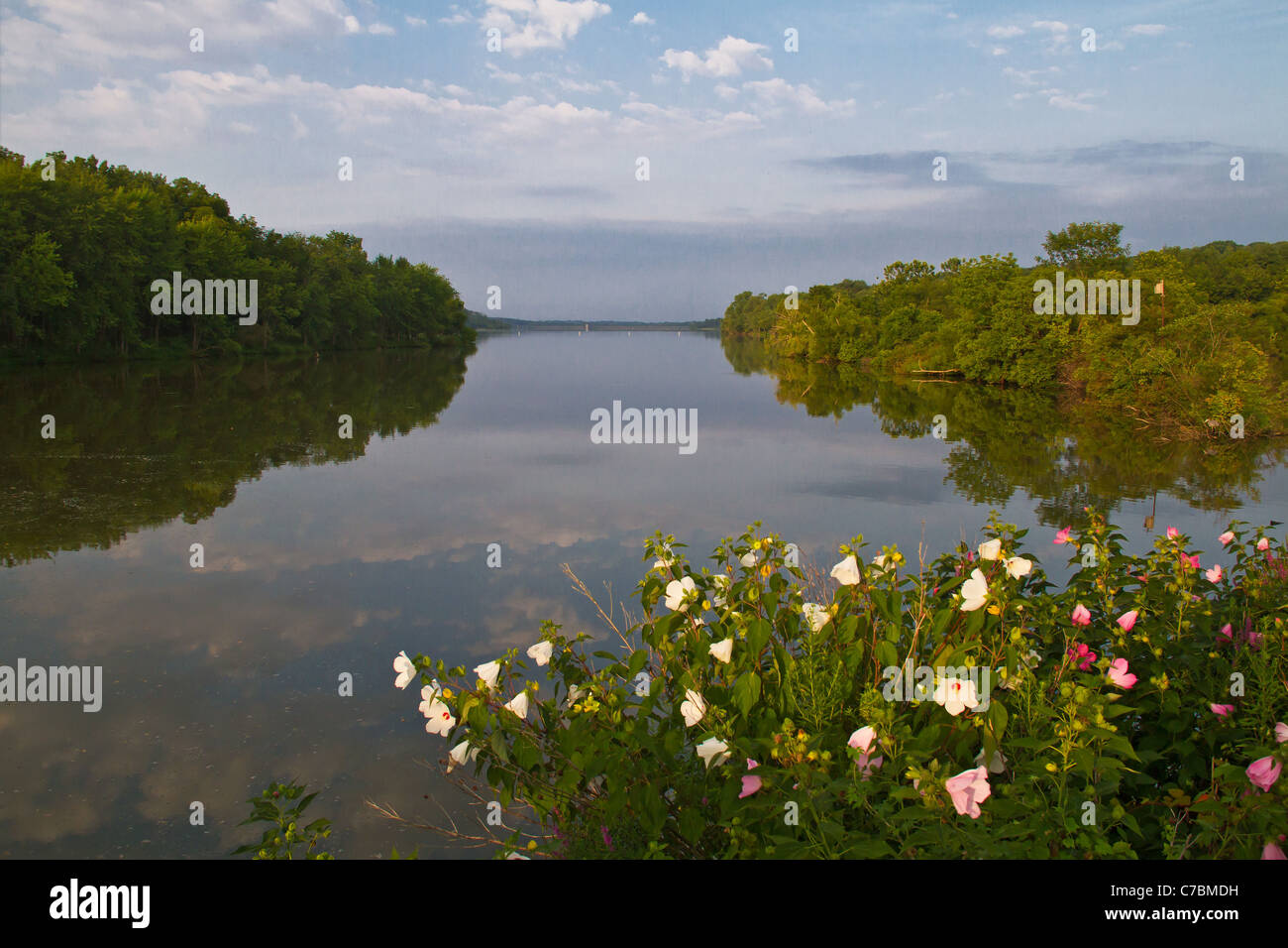 Are Dogs Allowed At Peace Valley Park