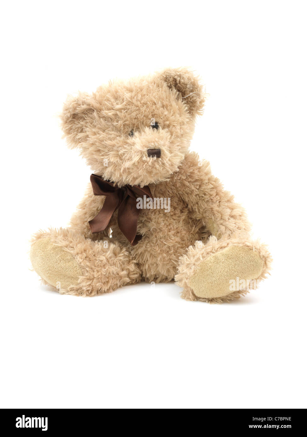 A teddy bear isolated against a white background Stock Photo - Alamy
