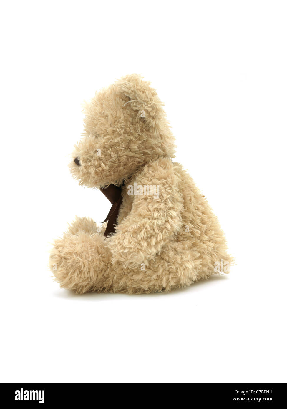 A teddy bear isolated against a white background Stock Photo - Alamy