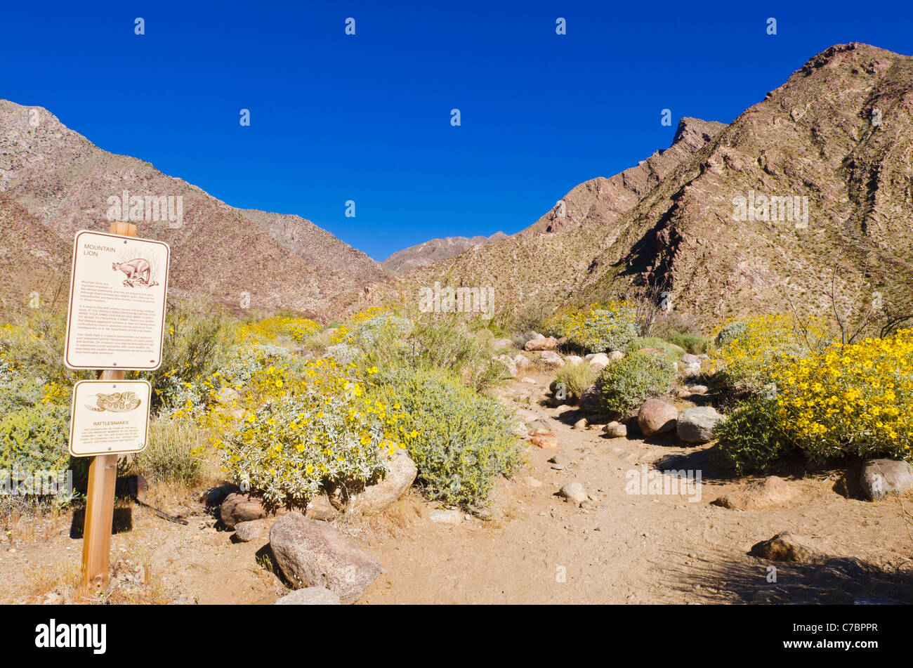 Mountain lion and rattlesnake warning sign, Borrego Palm Canyon, Anza