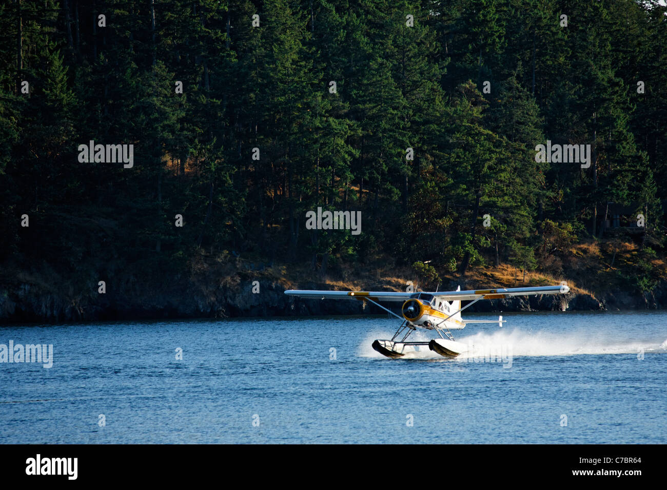 Kenmore Air seaplane taking off from Friday Harbor, San Juan Islands, San Juan County
