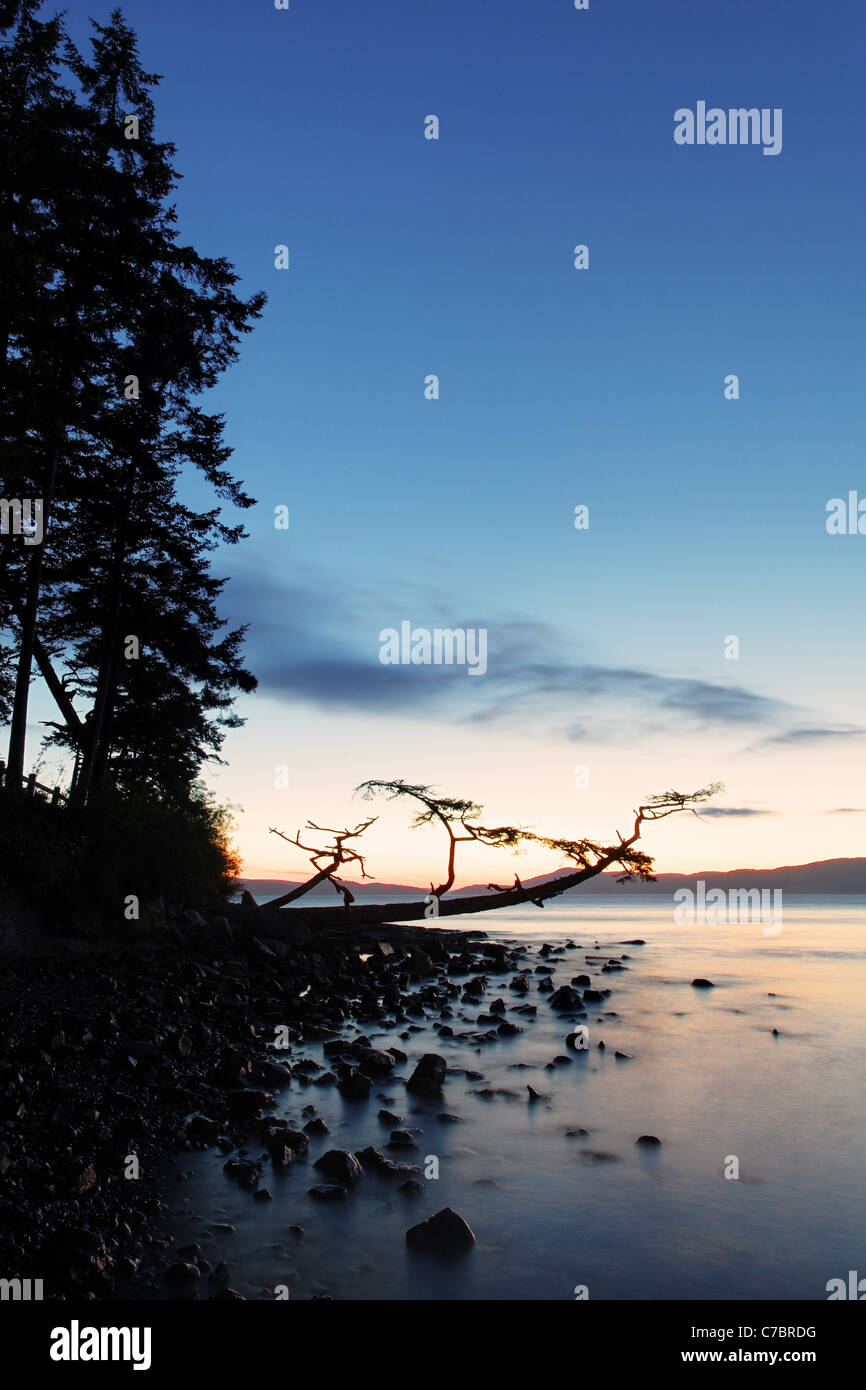 City of anacortes hi-res stock photography and images - Alamy