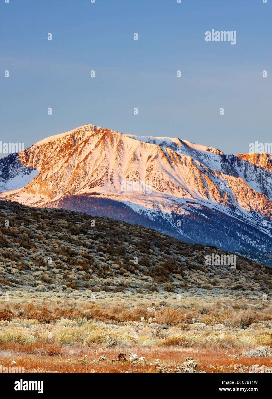 Snowy Northeast face of Mount Wood above desert sage brush, eastern Sierras, Mono Basin National Forest Scenic Area, California Stock Photo