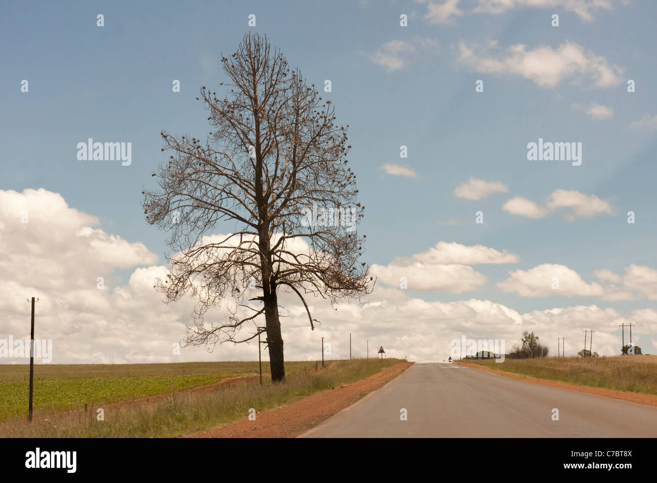 Driving through the town of Carolina, South Africa Stock Photo Alamy