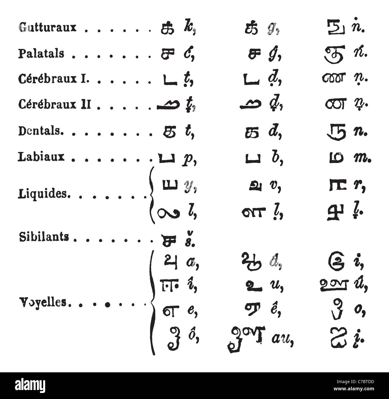 Tamil language Alphabets, vintage engraving. Old engraved ...
