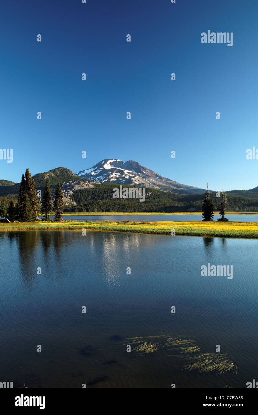 South Sister rises above flowering meadow and Sparks Lake at dawn, Cascade Lakes Scenic Byway, Oregon, USA, North America Stock Photo
