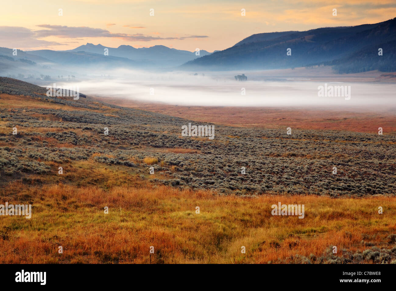 Meadows of Lamar Valley on a foggy fall morning, Yellowstone National Park, Wyoming, USA Stock Photo