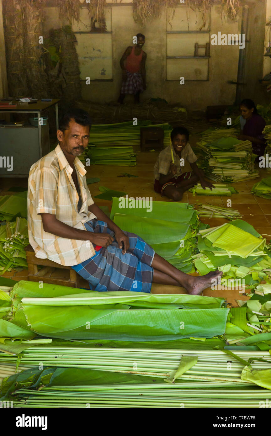 Fresh produce sold on the market of Madurai, Tamil Nadu, India. Stock Photo