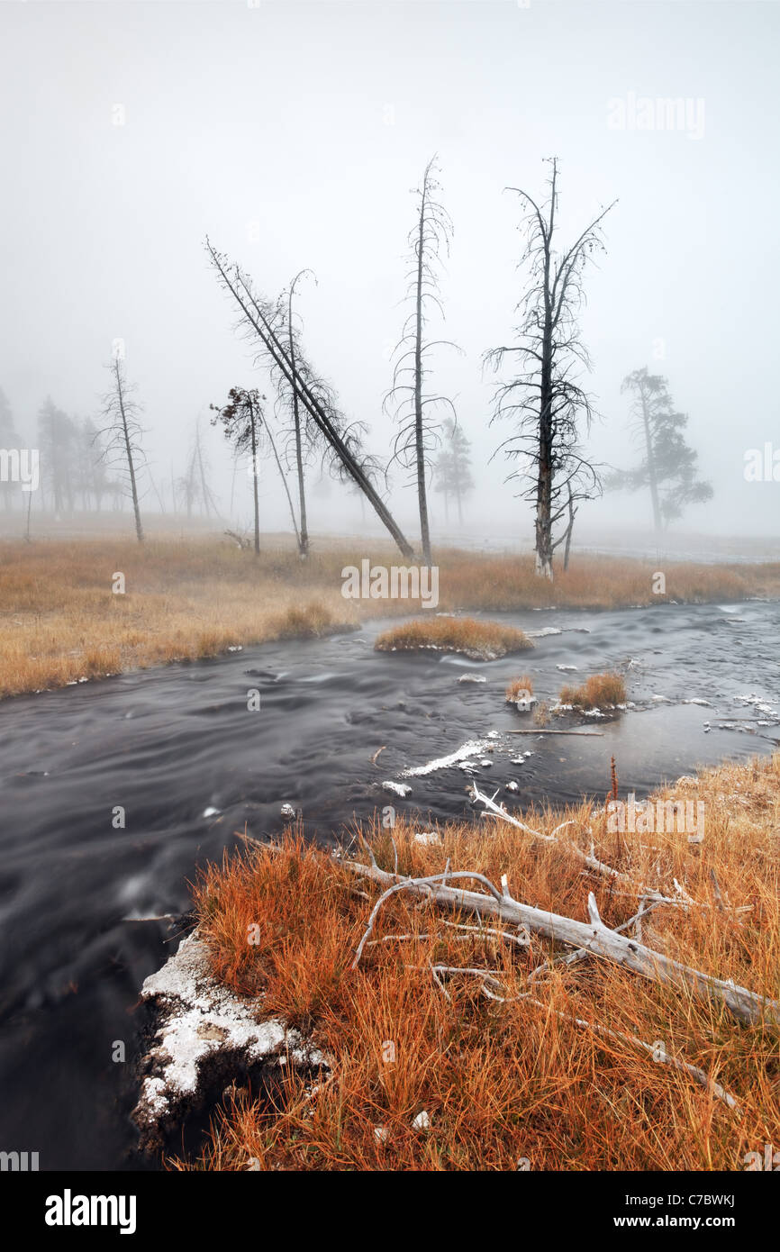 Thermal spring meandering through an autumn colored meadow, Firehole Lake Drive, Yellowstone National Park, Wyoming, USA Stock Photo