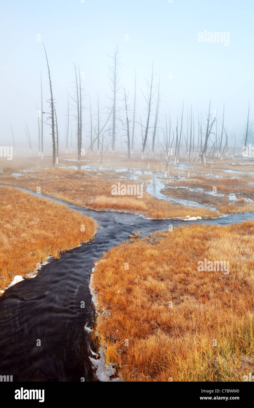 Thermal spring meandering through an autumn colored meadow, Firehole Lake Drive, Yellowstone National Park, Wyoming, USA Stock Photo