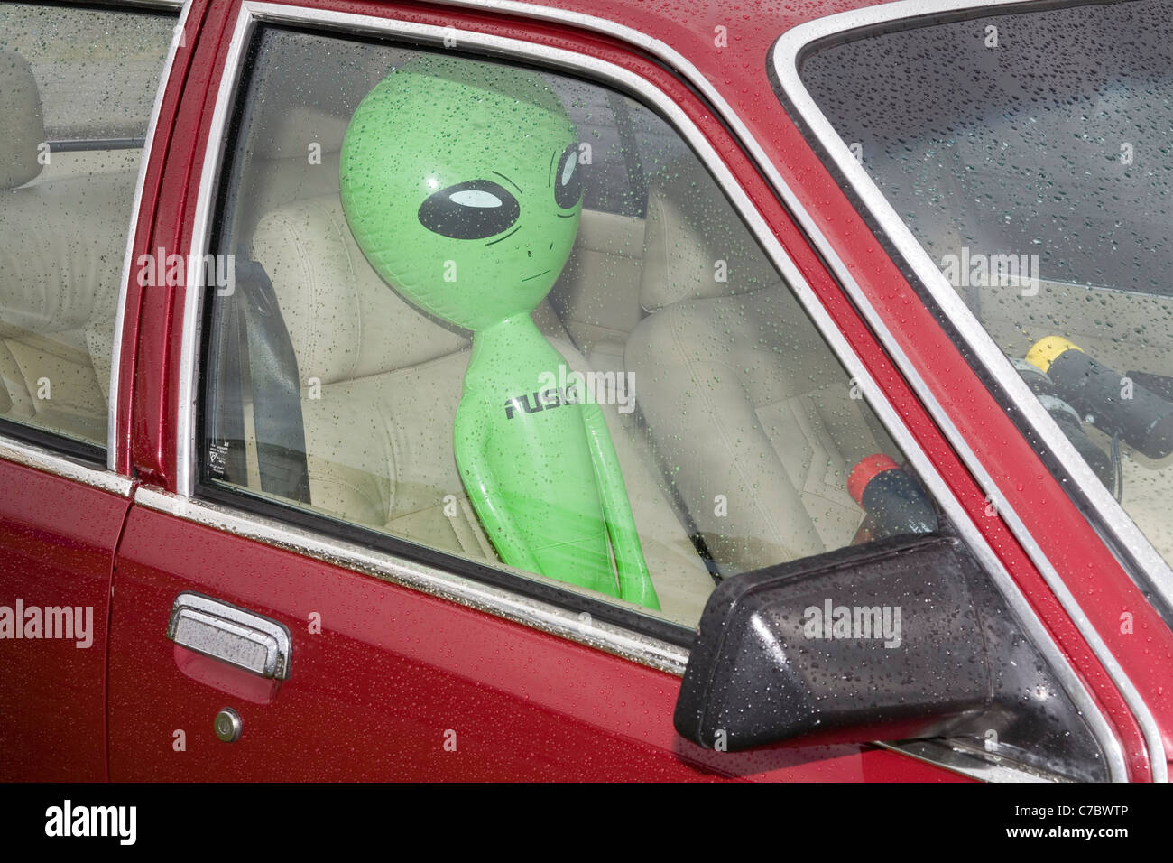 Green alien sitting in a car Stock Photo