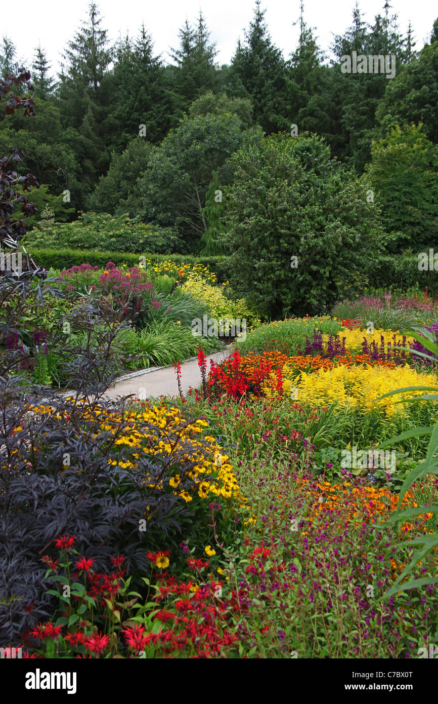 The Hot Garden in the Royal Horticultural Society Gardens at Rosemoor near Great Torrington, Devon, England, UK Stock Photo