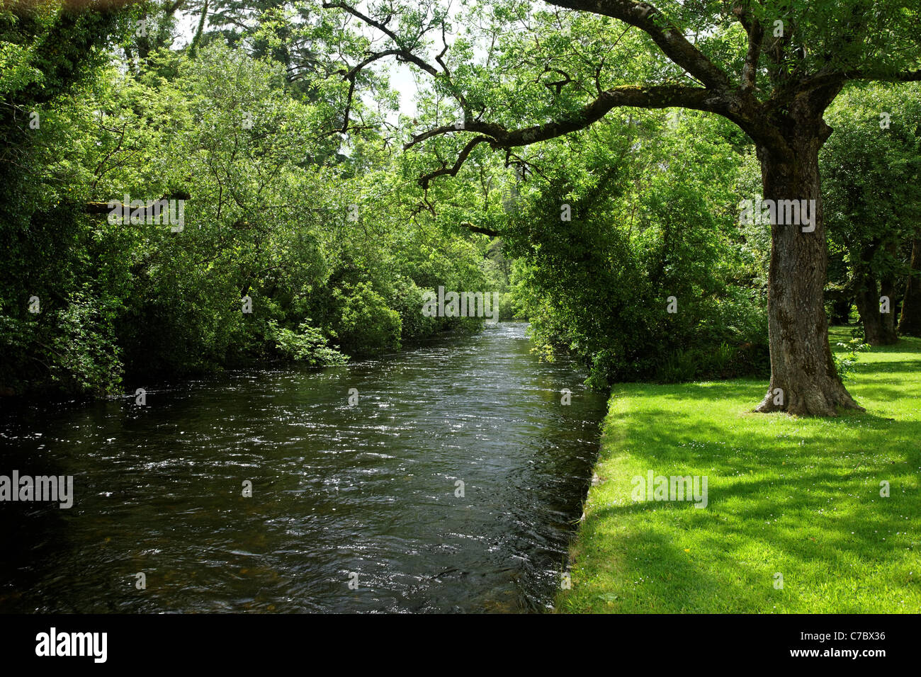 The River Cong, Cong, County Mayo, Republic of Ireland Stock Photo