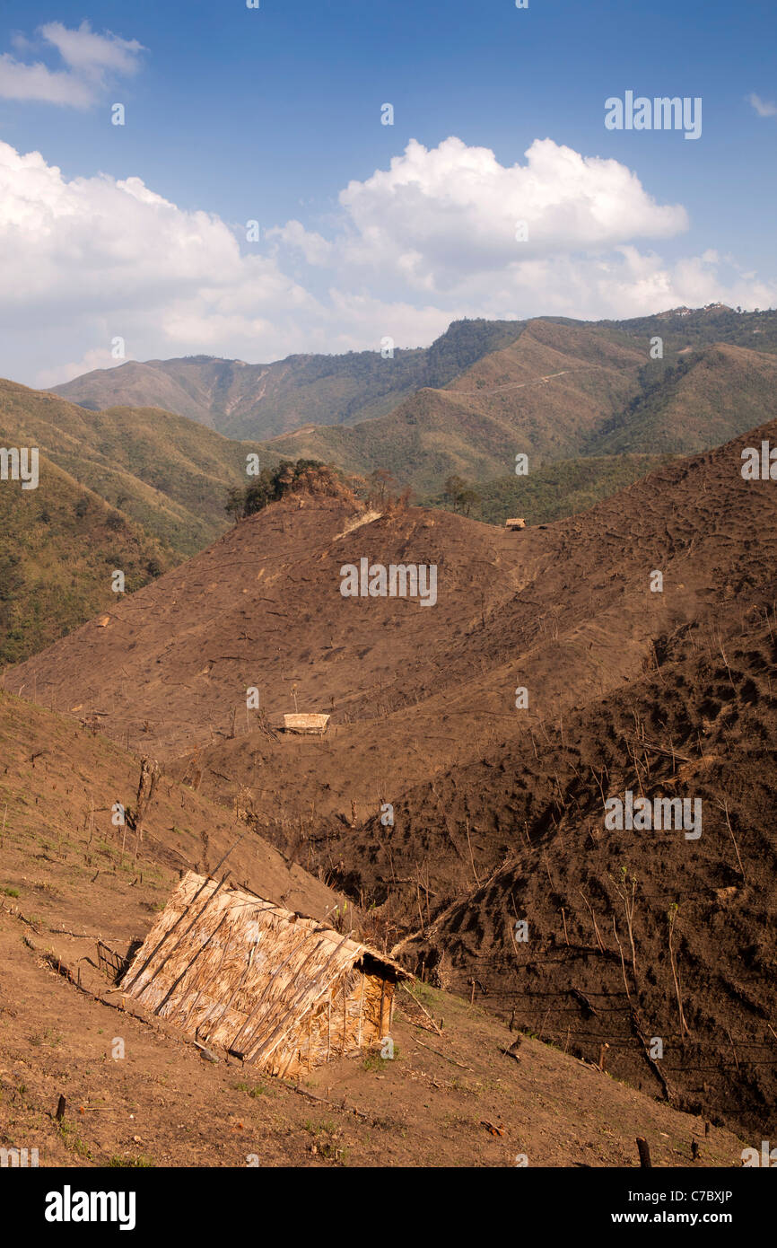 India, Nagaland, Mon, deforested hills and hut of Konyak Naga slash and burn agriculture near Burmese Border Stock Photo