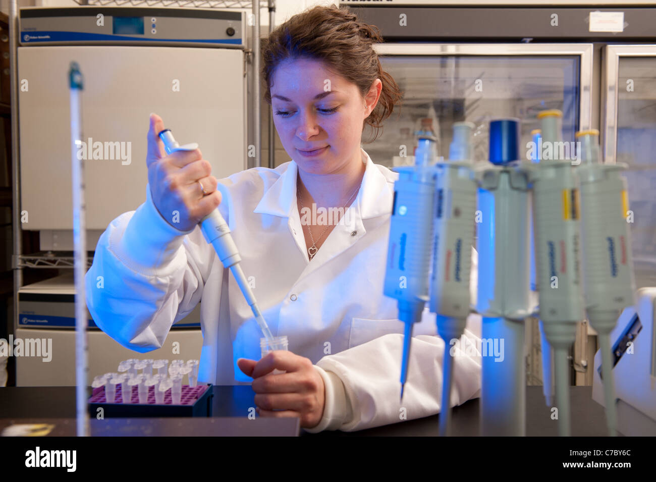 Scientist conducting an experiment in a laboratory Stock Photo
