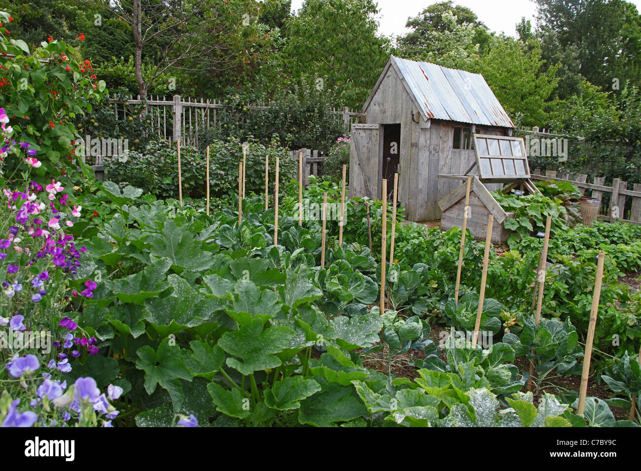 An allotment shed in Vegetable Garden at the Royal Horticultural ...