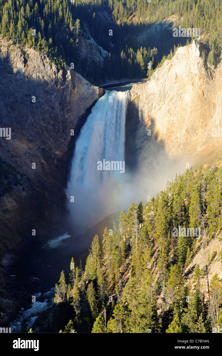 Lower Falls of the Yellowstone River, Lookout Point, Grand Canyon of the Yellowstone