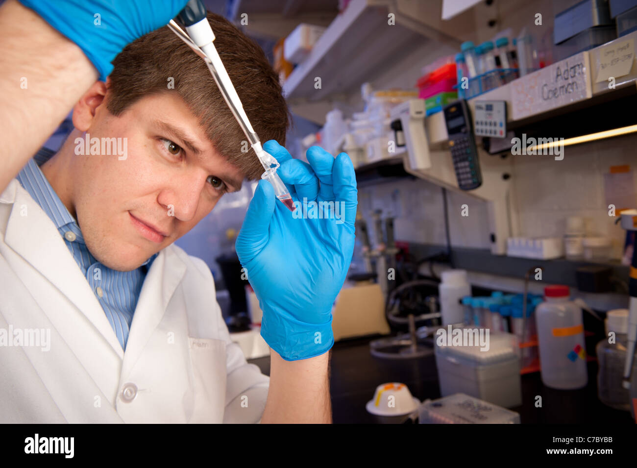 Scientist conducting experiment in a lab Stock Photo