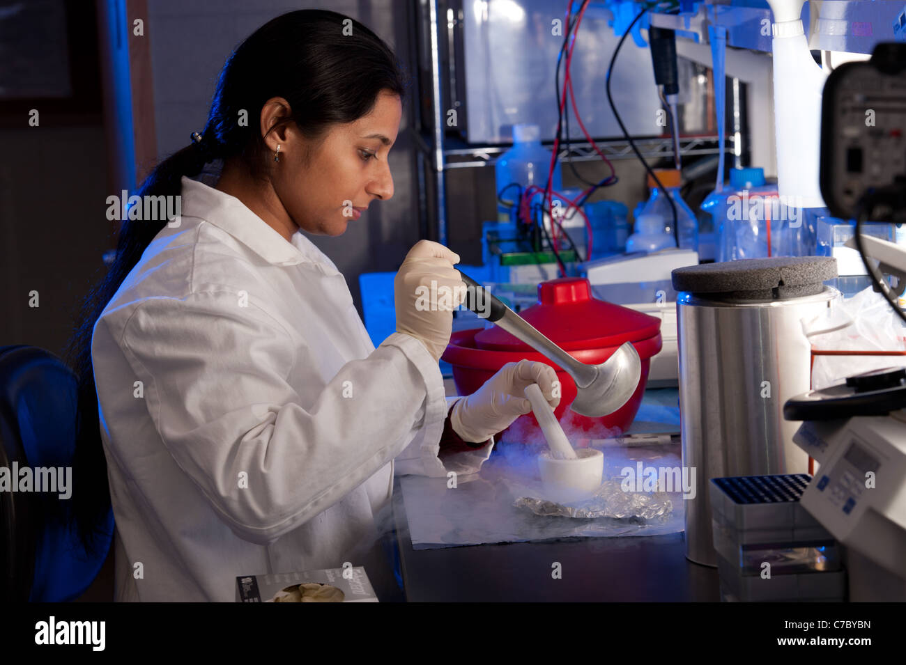 Scientist conducting experiment in lab Stock Photo