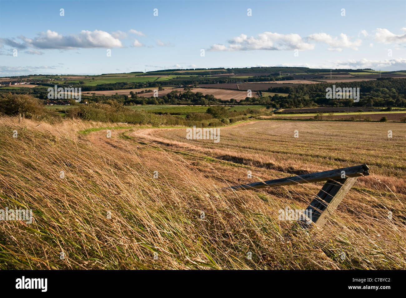 Ushaw moor hires stock photography and images Alamy