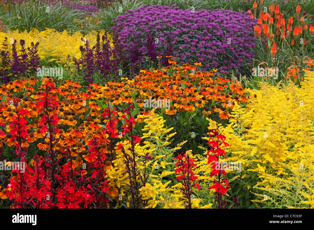 The Hot Garden in the Royal Horticultural Society Gardens at Rosemoor near Great Torrington, Devon, England, UK Stock Photo