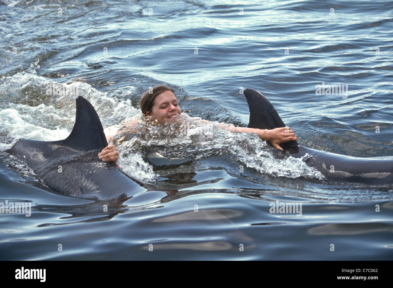 Students train dolphins at the Dolphin Research Center in Marathon Key, FL. Stock Photo